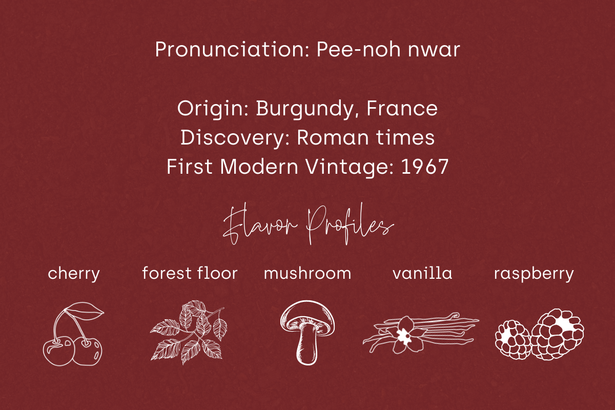 Pinot Reading How to Pi-not it all: The Lowdown on Pinot Noir