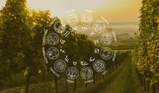 Your Wine Horoscope for Fall 2021
